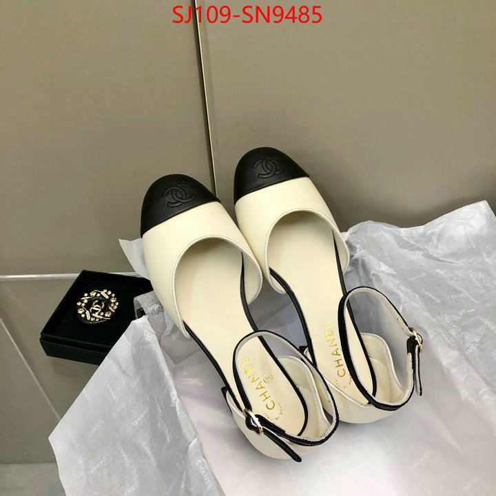 Women Shoes-Chanel,perfect replica , ID: SN9485,$: 109USD