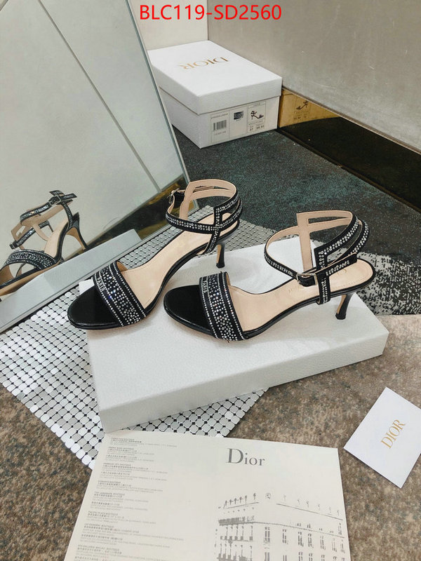 Women Shoes-Dior,replica 2023 perfect luxury , ID: SD2560,$: 119USD
