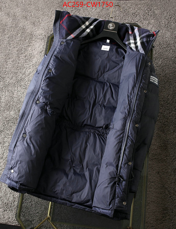 Down jacket Women-Burberry,from china 2023 , ID: CW1750,$: 259USD