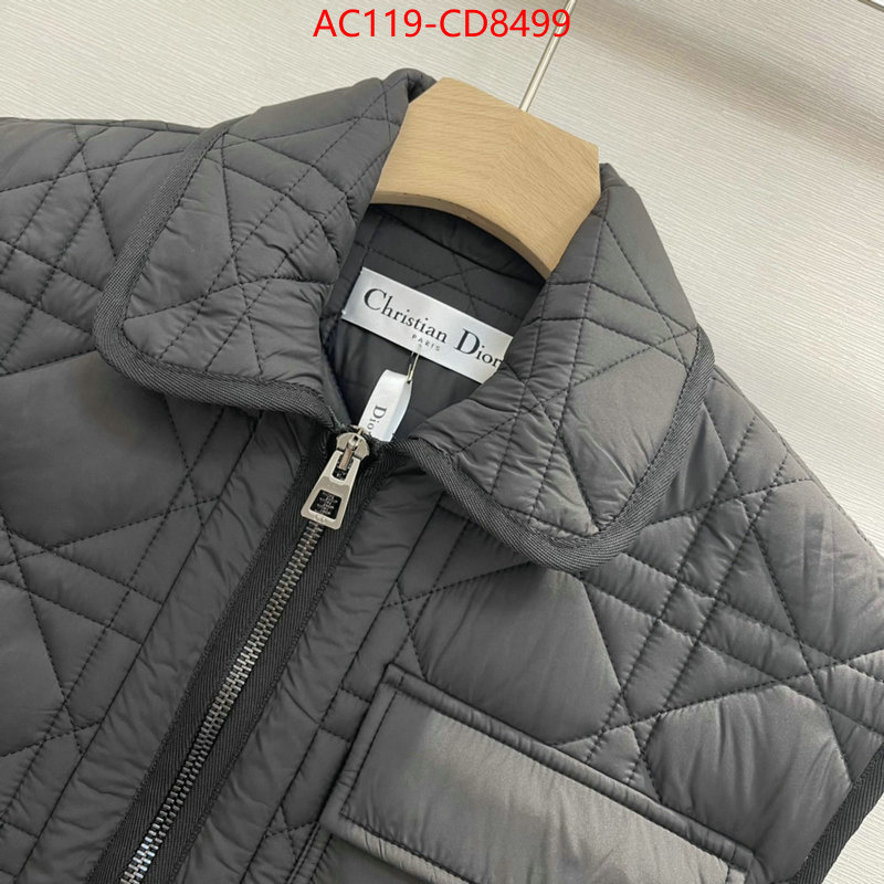 Down jacket Women-Dior,china sale , ID: CD8499,$: 119USD