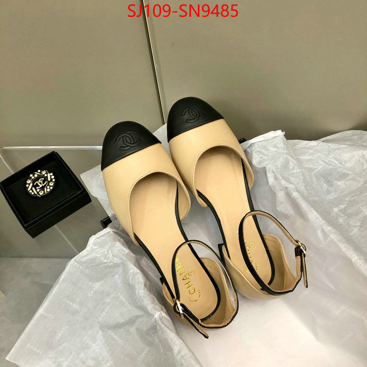 Women Shoes-Chanel,perfect replica , ID: SN9485,$: 109USD