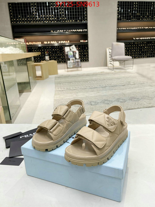 Women Shoes-Prada,top quality , ID: SN9613,$: 125USD