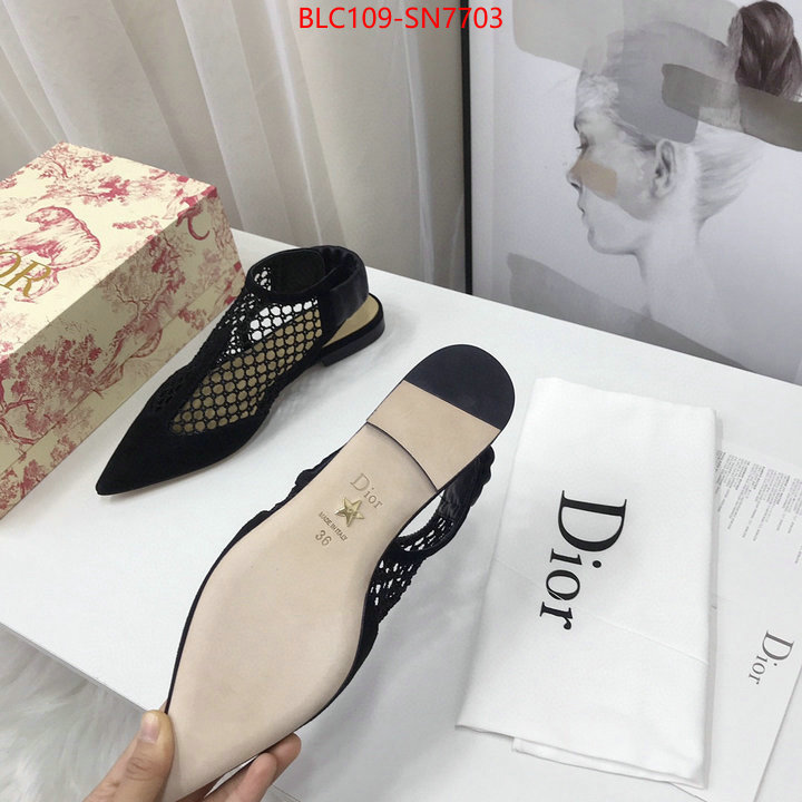 Women Shoes-Dior,what are the best replica , ID: SN7703,$: 109USD