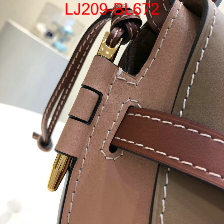 Loewe Bags(TOP)-Diagonal-,the best ,ID: BL672,$:209USD