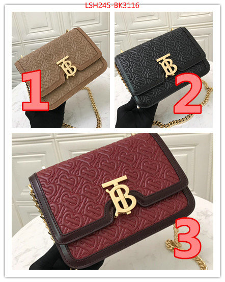 Burberry Bags(TOP)-Diagonal-,ID: BK3116,$:245USD