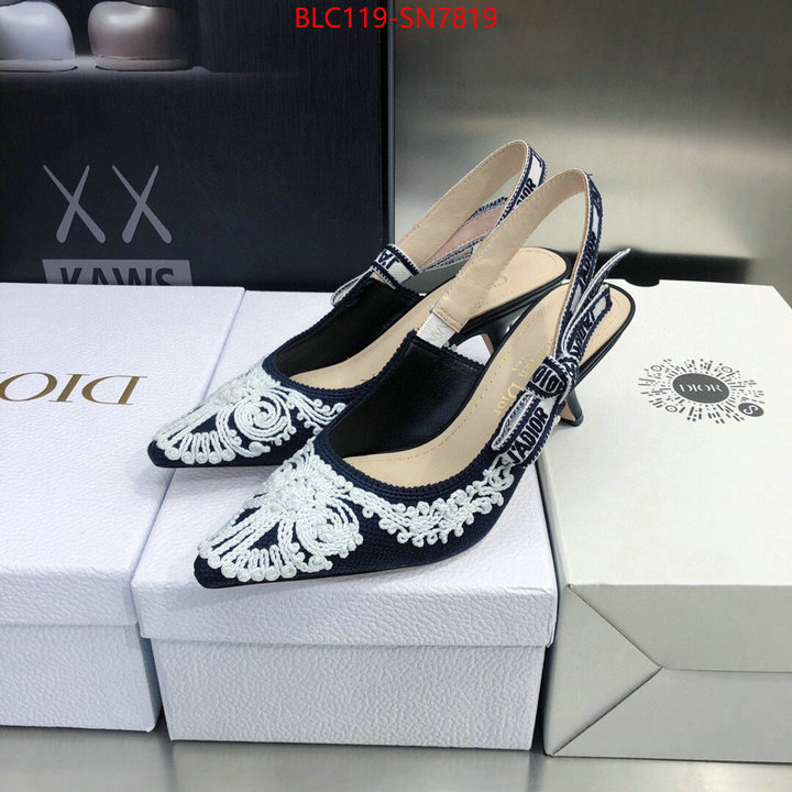 Women Shoes-Dior,replica aaaaa designer , ID: SN7819,$: 119USD