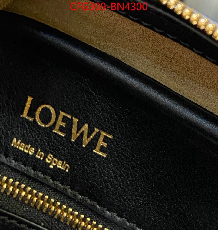 Loewe Bags(TOP)-Handbag-,practical and versatile replica designer ,ID: BN4300,$: 309USD