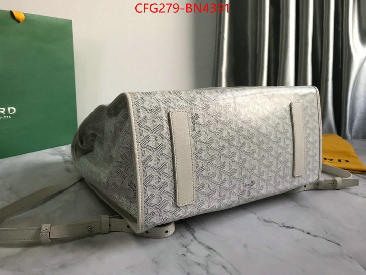 Goyard Bags(TOP)-Backpack-,ID: BN4391,$: 279USD