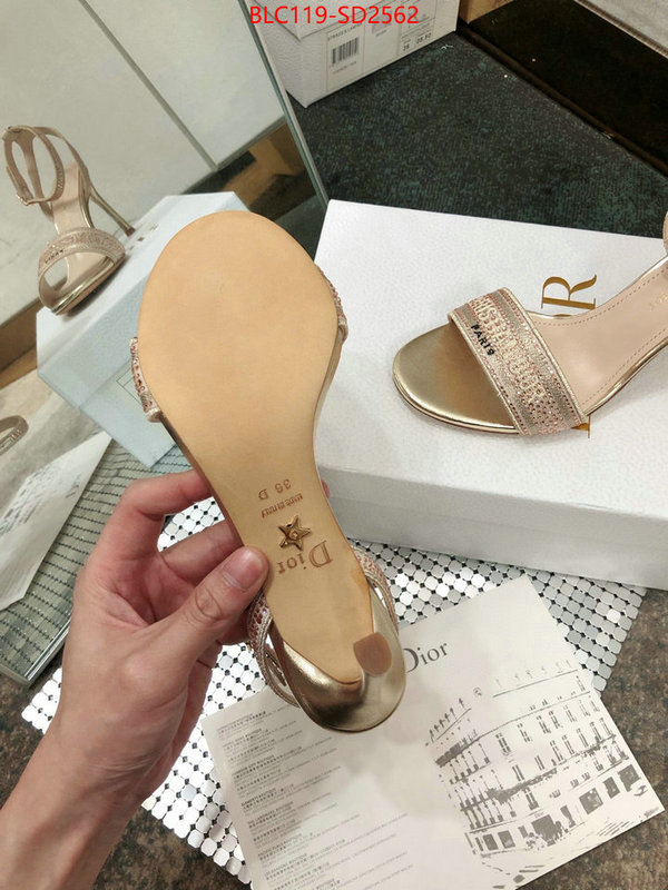 Women Shoes-Dior,first copy , ID: SD2562,$: 119USD