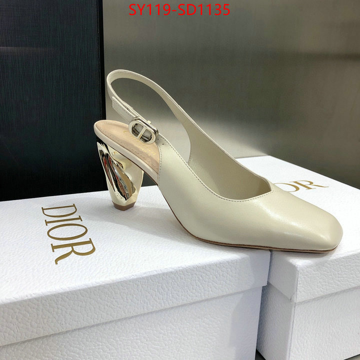 Women Shoes-Dior,customize the best replica , ID: SD1135,$: 119USD