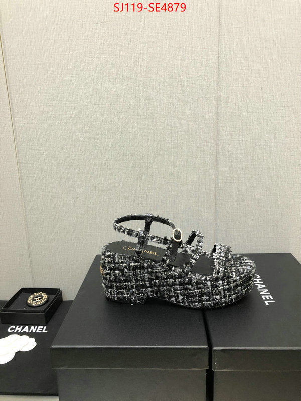 Women Shoes-Chanel,cheap replica designer , ID: SE4879,$: 119USD