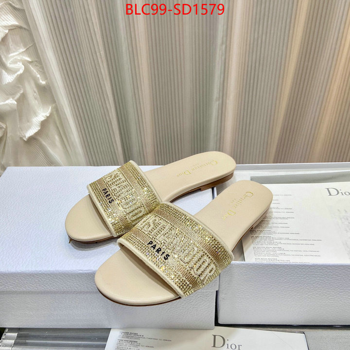 Women Shoes-Dior,buy aaaaa cheap , ID: SD1579,$: 99USD