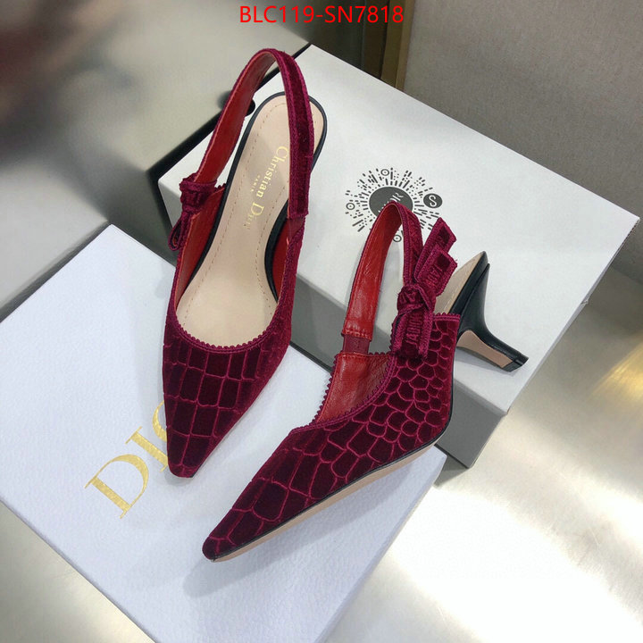 Women Shoes-Dior,aaaaa+ quality replica , ID: SN7818,$: 119USD