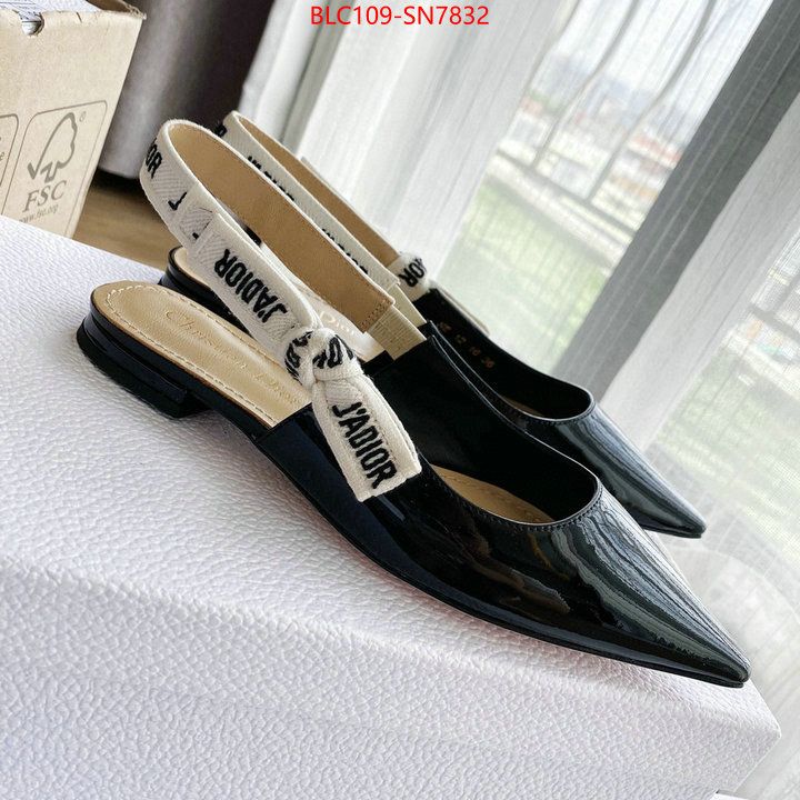 Women Shoes-Dior,2023 replica , ID: SN7832,$: 109USD