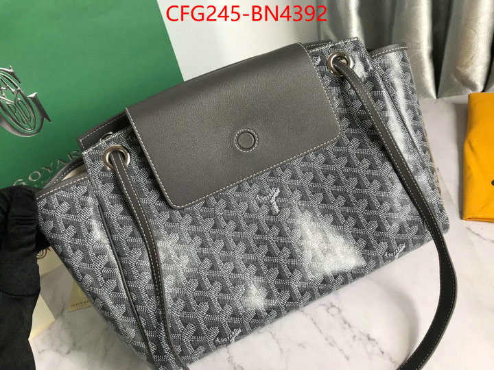 Goyard Bags(TOP)-Handbag-,ID: BN4392,$: 245USD