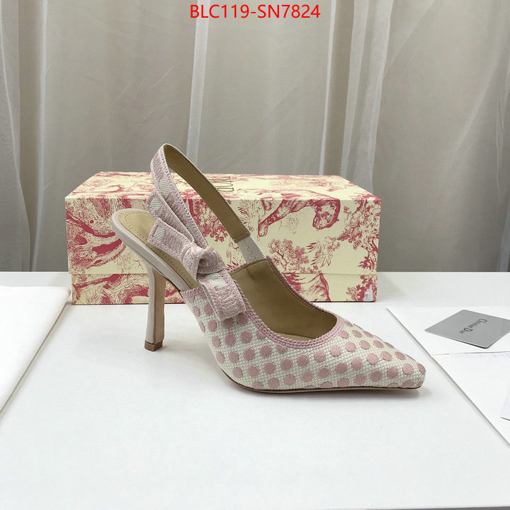 Women Shoes-Dior,online from china designer , ID: SN7824,$: 119USD