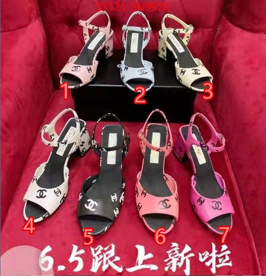 Women Shoes-Chanel,shop the best high authentic quality replica , ID: SN9973,$: 125USD