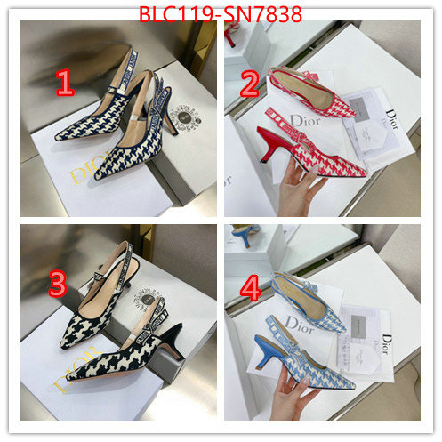 Women Shoes-Dior,can i buy replica , ID: SN7838,$: 119USD