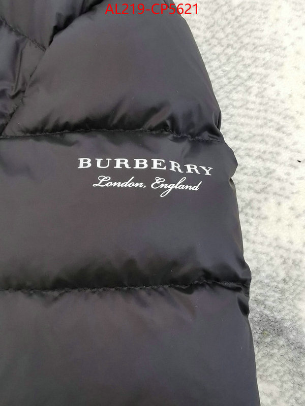 Down jacket Women-Burberry,aaaaa , ID: CP5621,