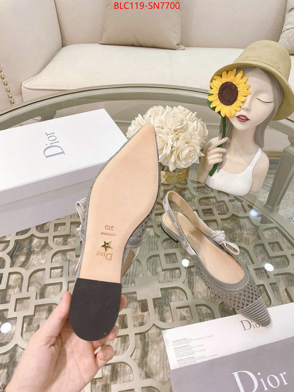 Women Shoes-Dior,sell online luxury designer , ID: SN7700,$: 119USD