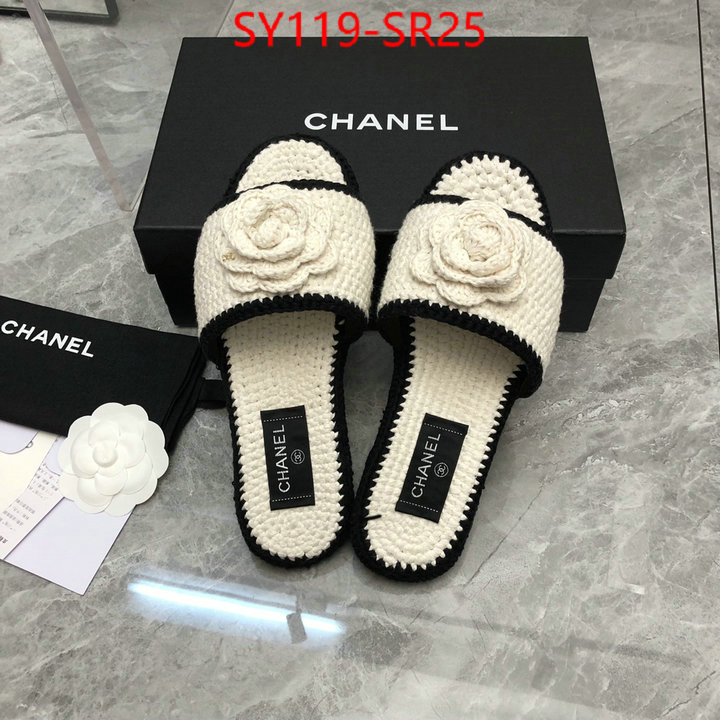 Women Shoes-Chanel,1:01 , ID: SR25,$: 119USD