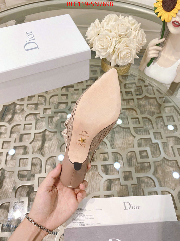 Women Shoes-Dior,how to buy replcia , ID: SN7698,$: 119USD