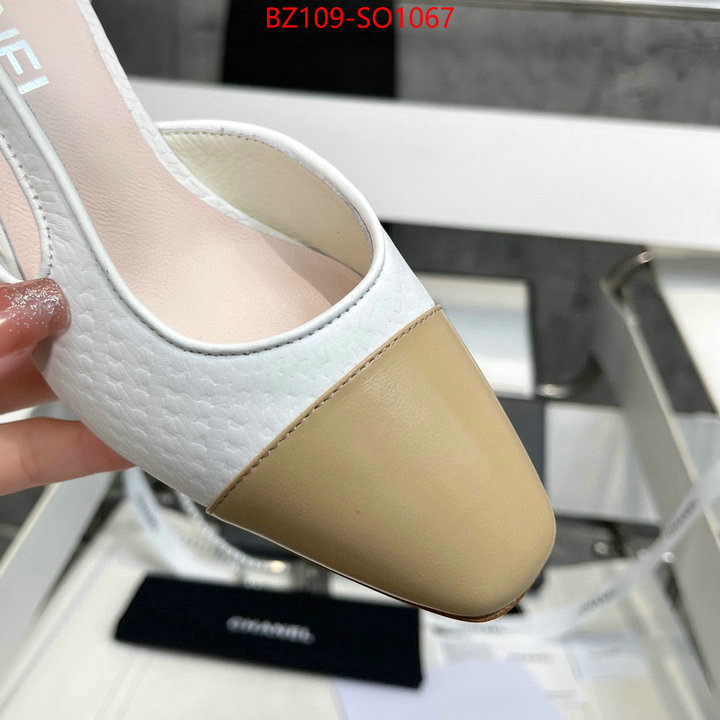 Women Shoes-Chanel,brand designer replica , ID: SO1067,$: 109USD