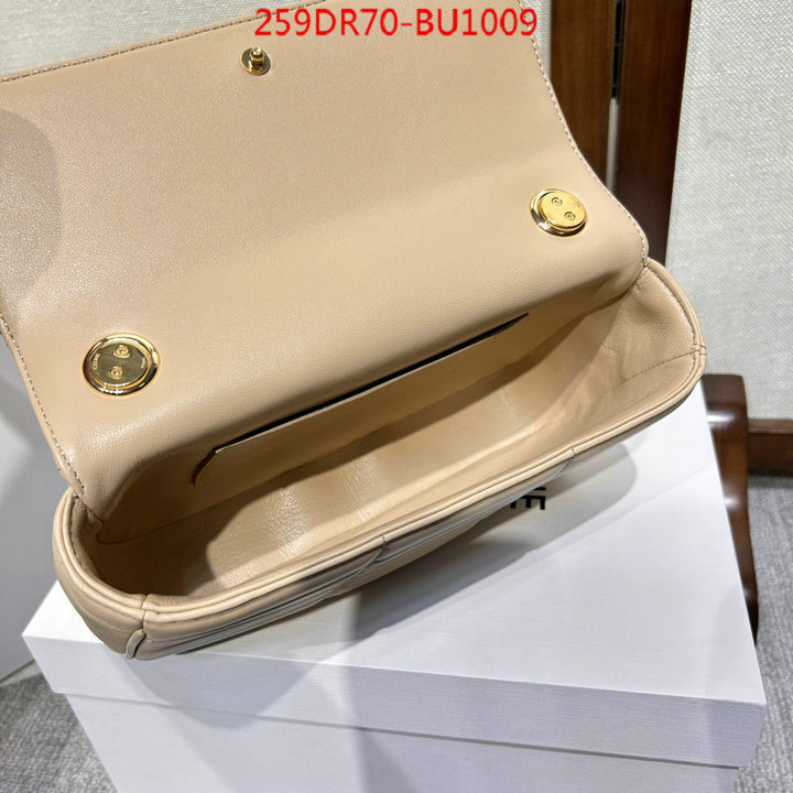 CELINE Bags(TOP)-Diagonal,2023 replica wholesale cheap sales online ,ID: BU1009,$: 259USD