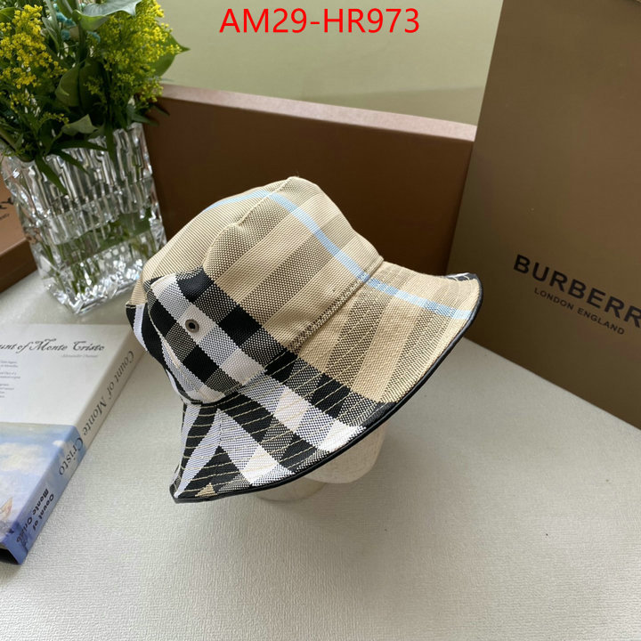 Cap (Hat)-Burberry,buy high-quality fake , ID: HR973,$: 29USD