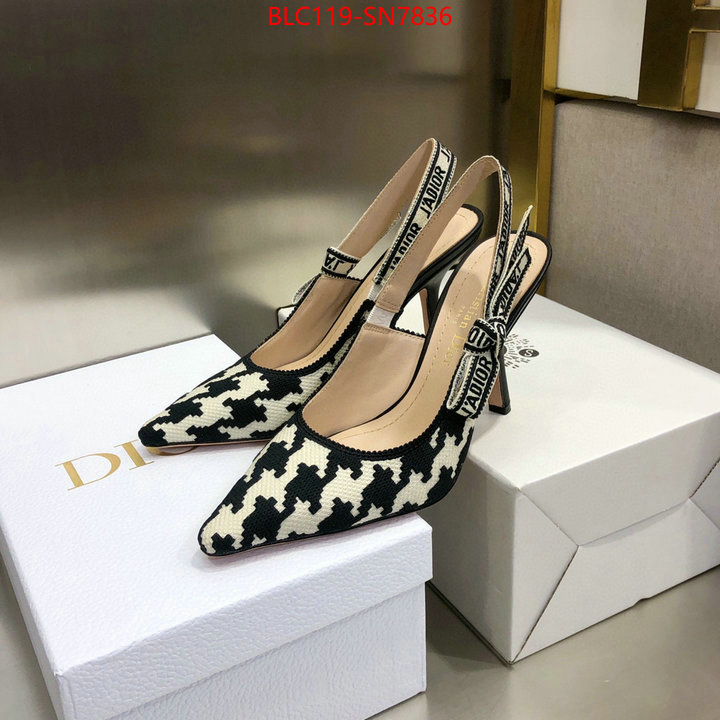 Women Shoes-Dior,what's the best to buy replica , ID: SN7836,$: 119USD