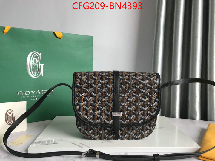 Goyard Bags(TOP)-Diagonal-,ID: BN4393,$: 209USD