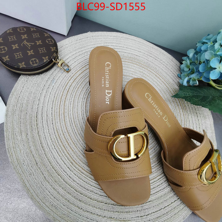 Women Shoes-Dior,can you buy replica , ID: SD1555,$: 99USD
