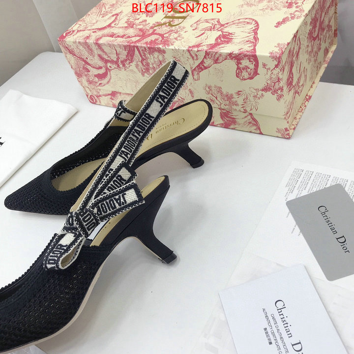 Women Shoes-Dior,shop cheap high quality 1:1 replica , ID: SN7815,$: 119USD