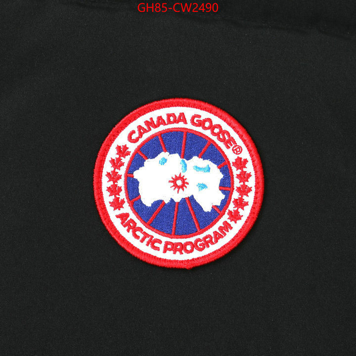 Down jacket Women-Canada Goose,replica wholesale , ID: CW2490,$: 85USD