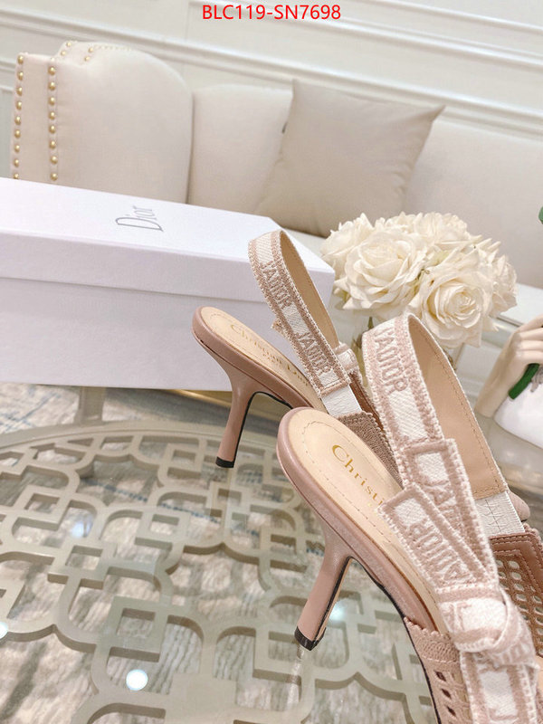 Women Shoes-Dior,how to buy replcia , ID: SN7698,$: 119USD