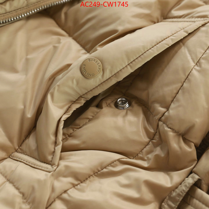 Down jacket Women-Burberry,where to buy replicas , ID: CW1745,$: 249USD