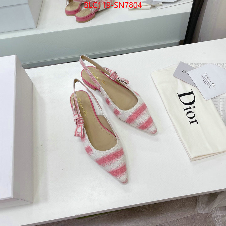 Women Shoes-Dior,wholesale designer shop , ID: SN7804,$: 119USD