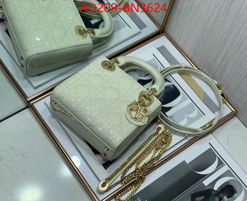 Dior Bags(TOP)-Lady-,ID: BN3624,$: 209USD