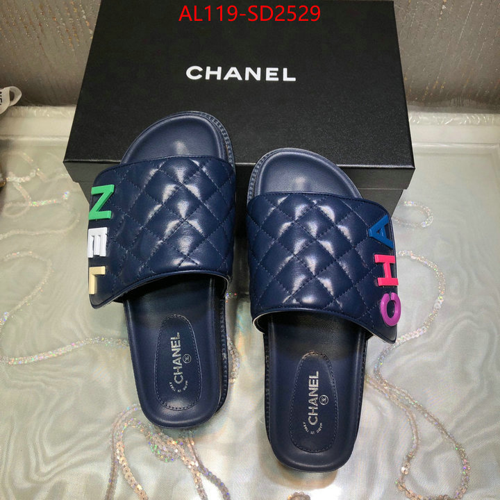 Women Shoes-Chanel,replicas , ID: SD2529,$: 119USD