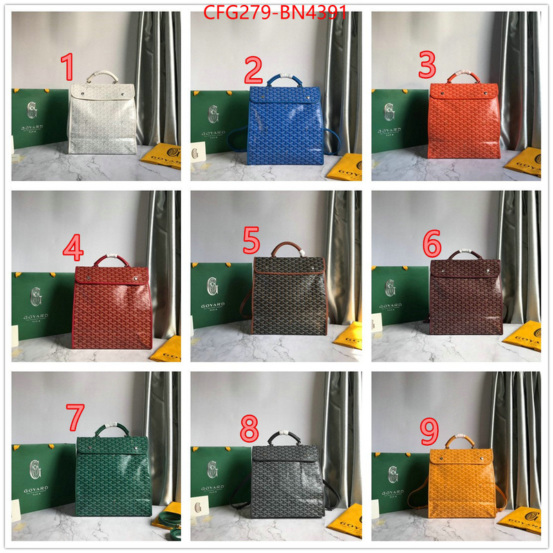 Goyard Bags(TOP)-Backpack-,ID: BN4391,$: 279USD