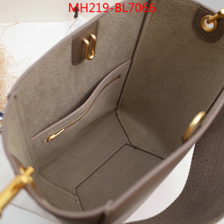 CELINE Bags(TOP)-Diagonal,highest quality replica ,ID: BL7066,$: 219USD