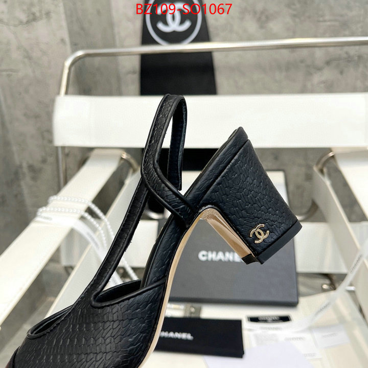 Women Shoes-Chanel,brand designer replica , ID: SO1067,$: 109USD