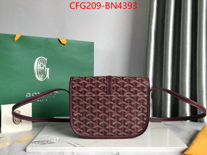 Goyard Bags(TOP)-Diagonal-,ID: BN4393,$: 209USD