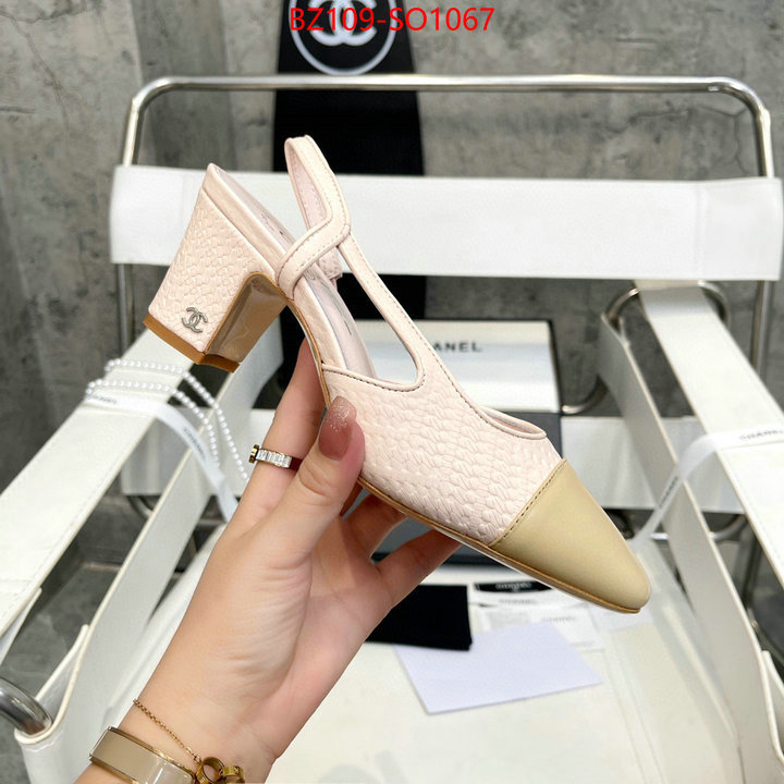 Women Shoes-Chanel,brand designer replica , ID: SO1067,$: 109USD