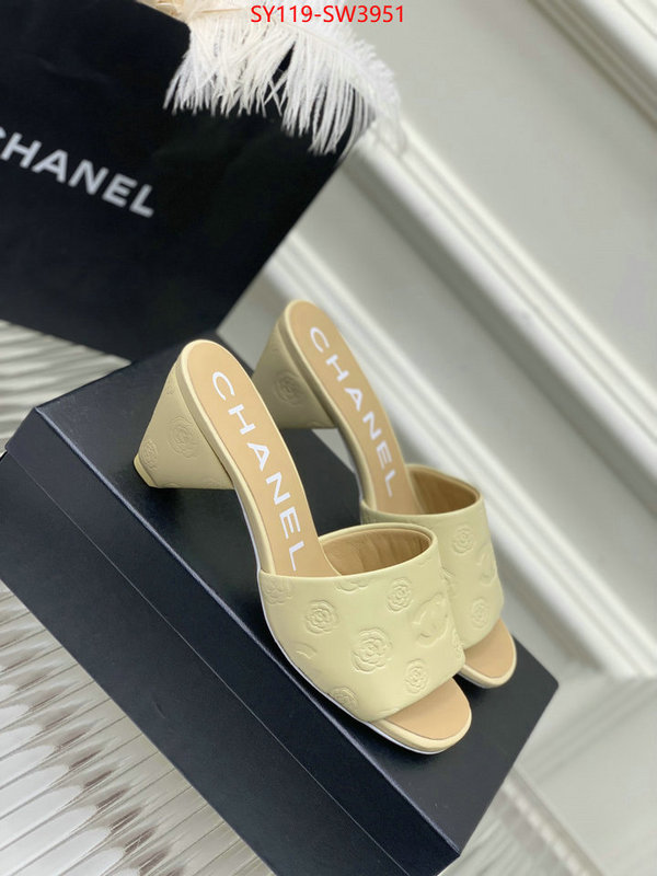 Women Shoes-Chanel,best site for replica , ID: SW3951,$: 119USD