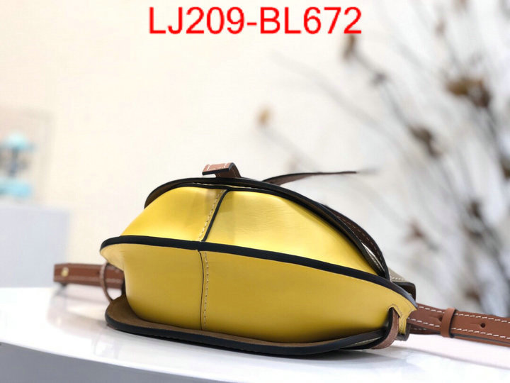 Loewe Bags(TOP)-Diagonal-,the best ,ID: BL672,$:209USD