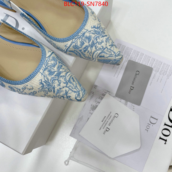 Women Shoes-Dior,replica designer , ID: SN7840,$: 119USD