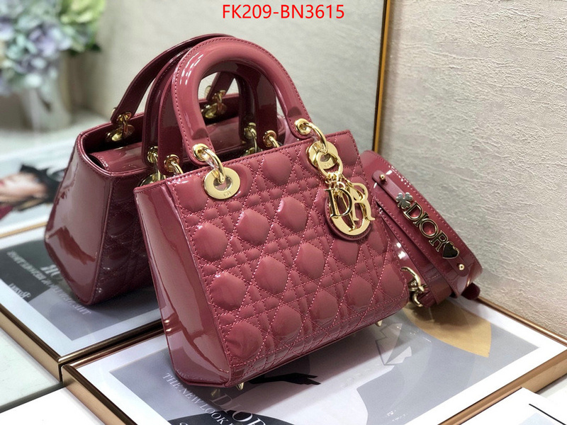 Dior Bags(TOP)-Lady-,ID: BN3615,$: 209USD