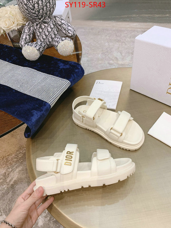 Women Shoes-Dior,is it ok to buy replica , ID: SR43,$: 119USD