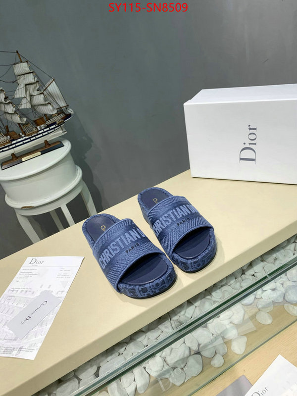 Women Shoes-Dior,sell online , ID: SN8509,$: 115USD